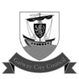 Galway City Council