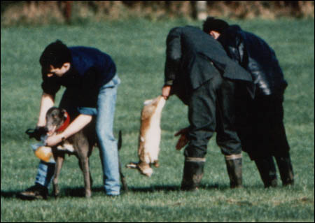 Ask landowner in Waterford to withdraw his field from coursing club!