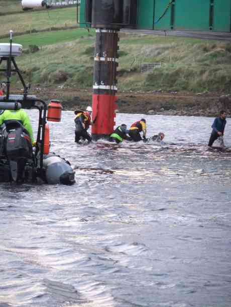 Initial scramble to under the rig