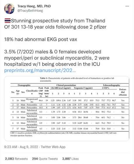 thailand_study.jpg