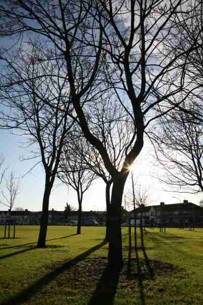 For those not in Dublin a fine dry beautiful day, tad cool.