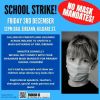 school_strike_fri_3rd_dec_at_dail_eireann_dublin.jpg