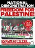 nat_demo_palestine_feb17.jpg