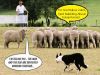 Image1 Standing-apart-from-the-herd