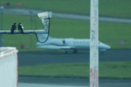 The Crows observe N71PG while Gardai and Security cameras look the other way