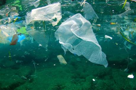 Plastic debris floating in the sea...
