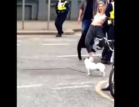 Government thugs arrest young woman https://twitter.com/i/status/1373325765857656838