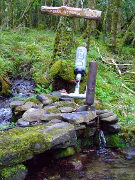Ram Pump at the stream, using the water�s own energy to pump it where you want it. New model ready behind current one.