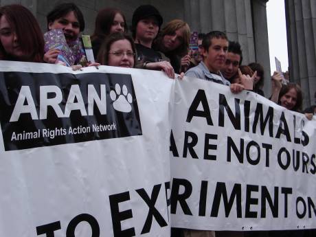 Click on image to see full-sized version animal_testings_day_007.jpg