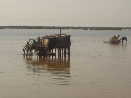 Click on image to see full-sized version Sea intrusion in thatta Sindh