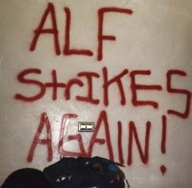 Alf strikes again.