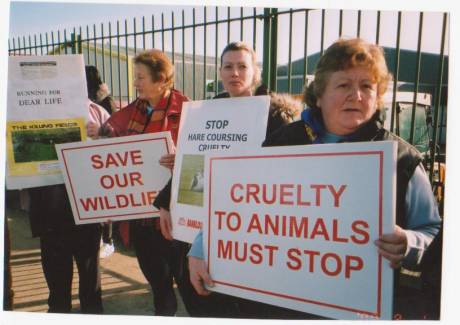 Calling for  ban on hare coursing in Ireland...