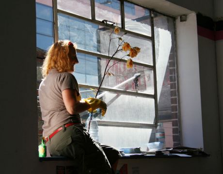 Window cleaning at the new space